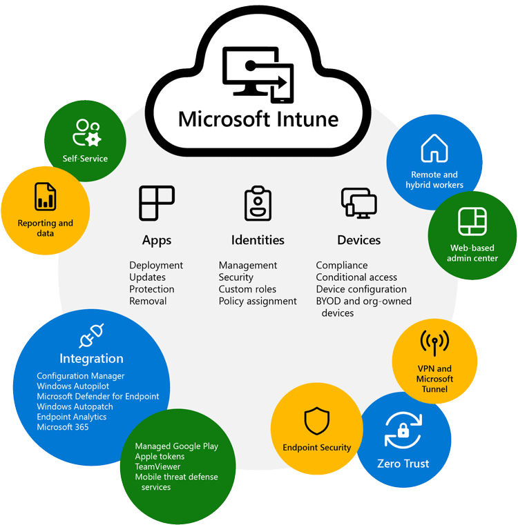 Intune-Infographic